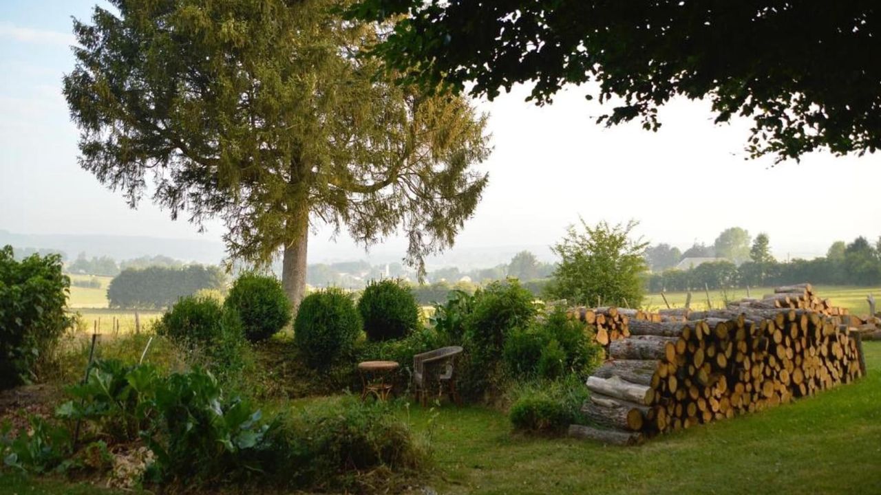 AreaSummer20KM AreaSummer20KM